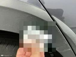 Reported damage