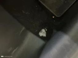 Reported damage