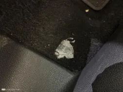Reported damage
