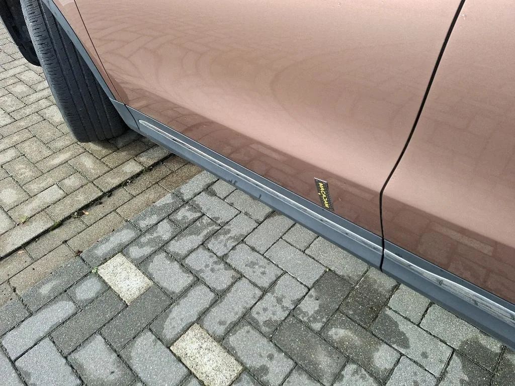 Vastgestelde schade