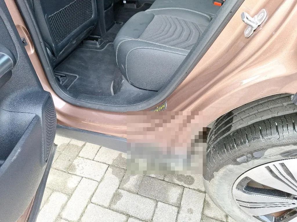 Vastgestelde schade