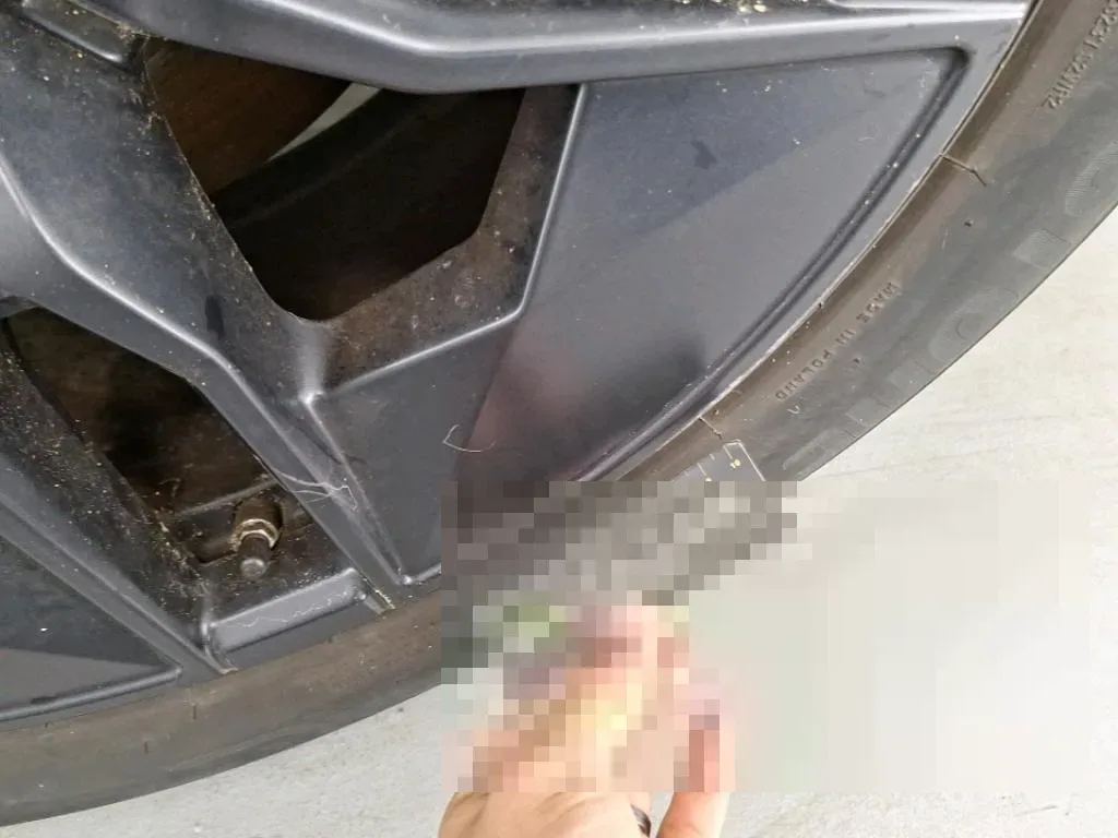 Reported damage