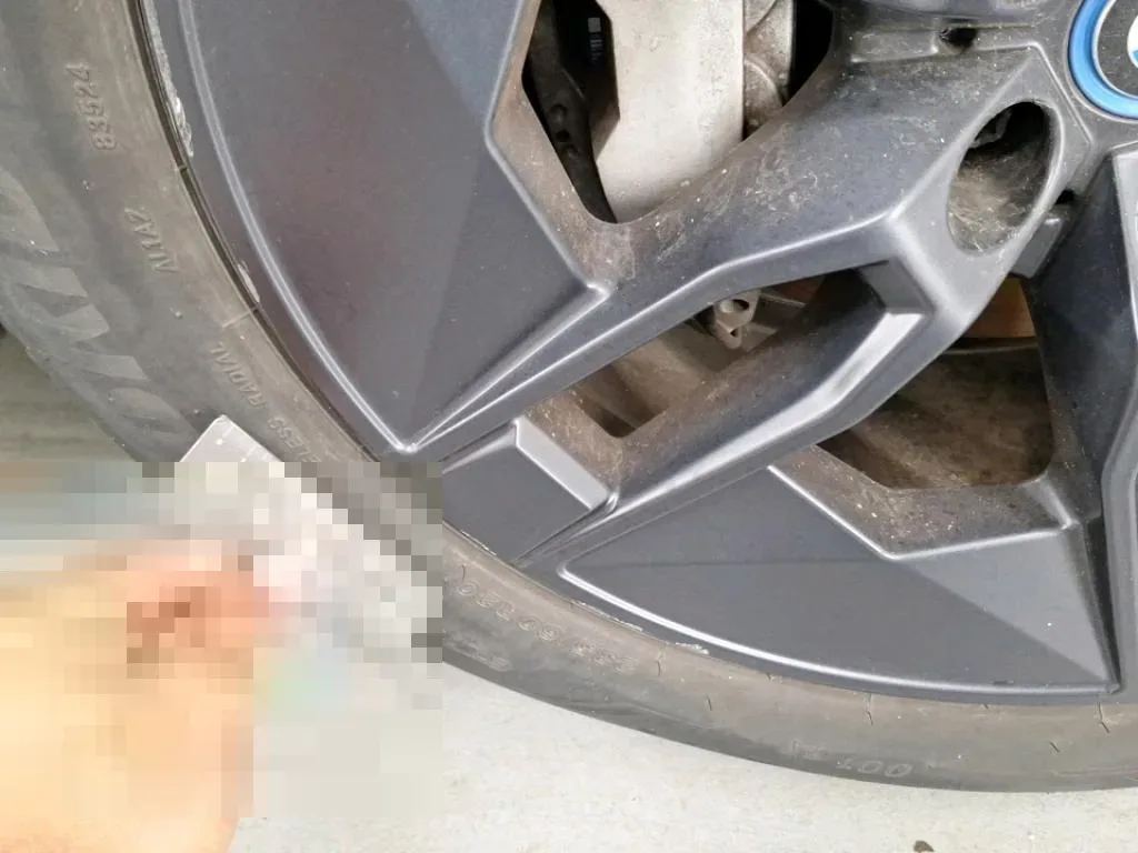Reported damage