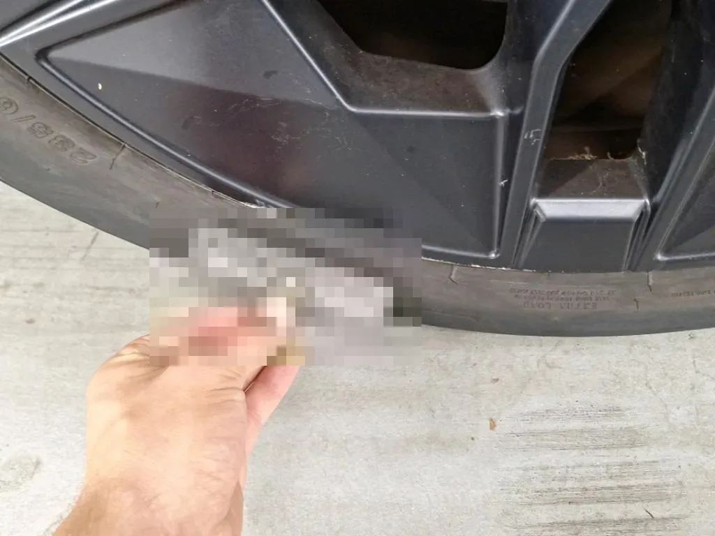 Reported damage