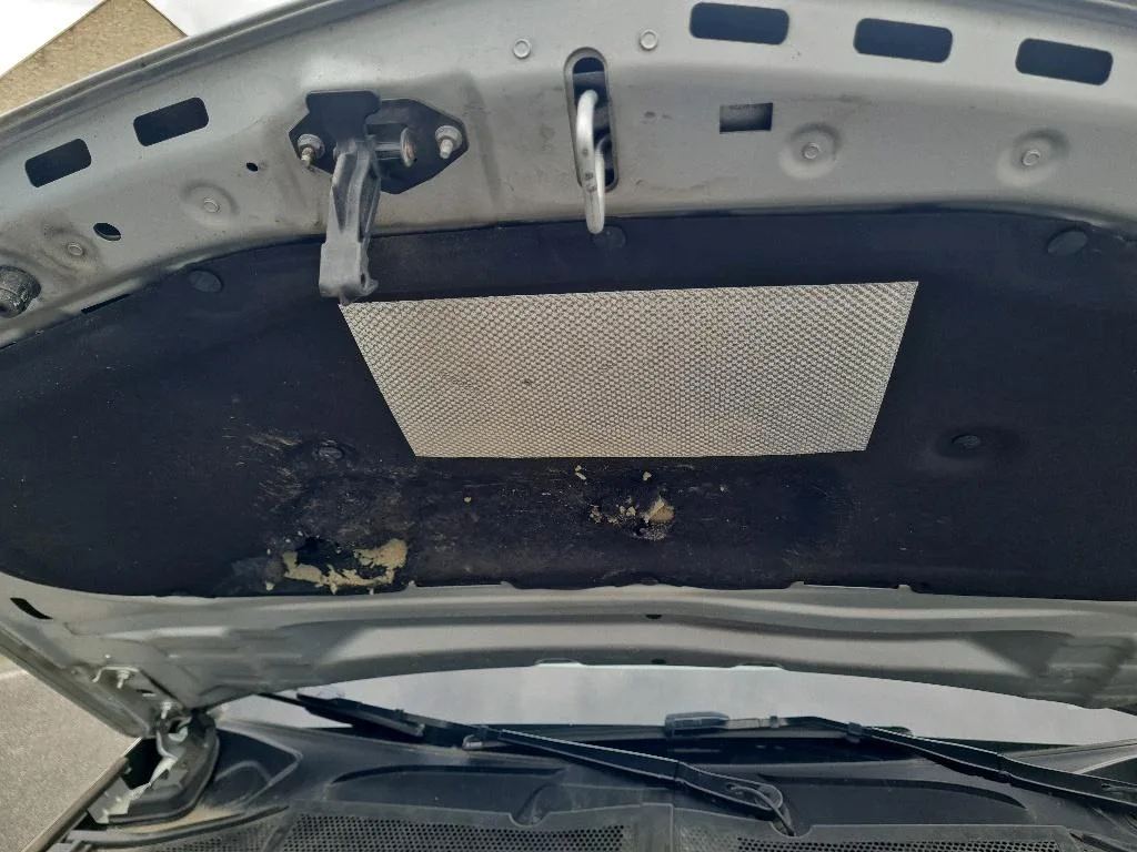 Reported damage