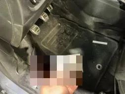 Reported damage