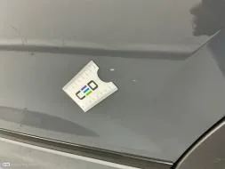 Reported damage