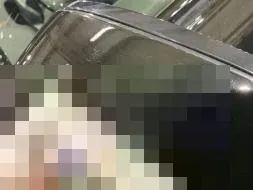 Vastgestelde schade