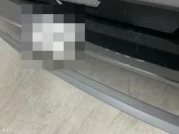 Reported damage