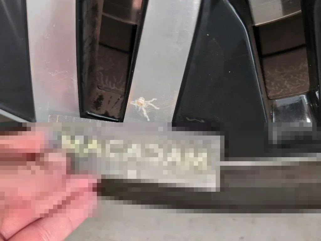 Dommages constatés