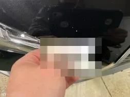 Dommages constatés