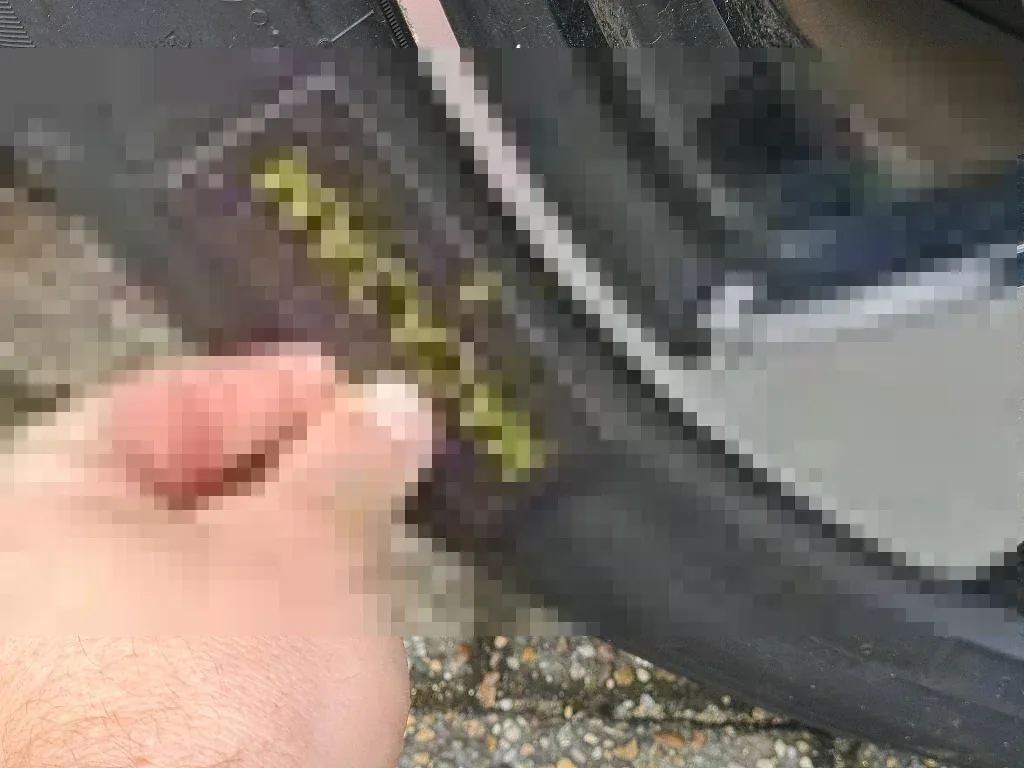 Reported damage