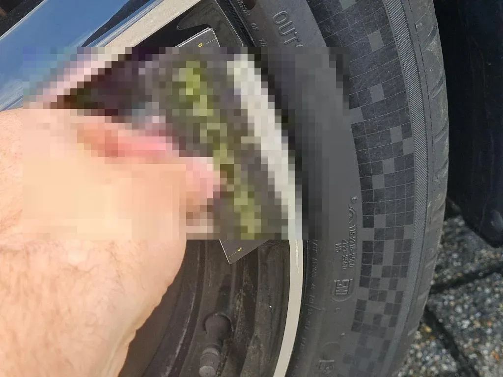 Reported damage