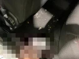Reported damage