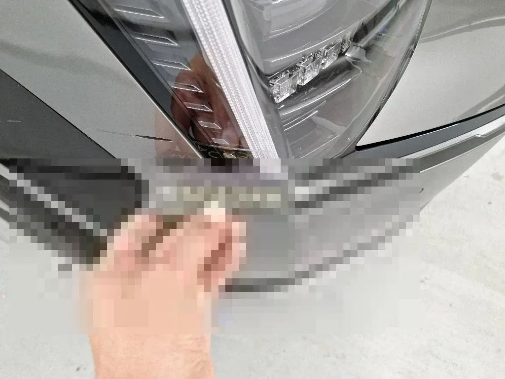 Dommages constatés