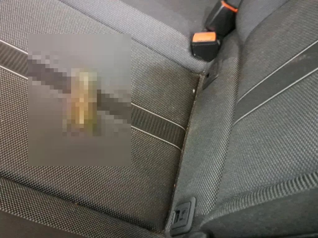 Vastgestelde schade