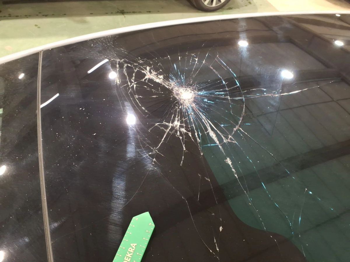 Reported damage