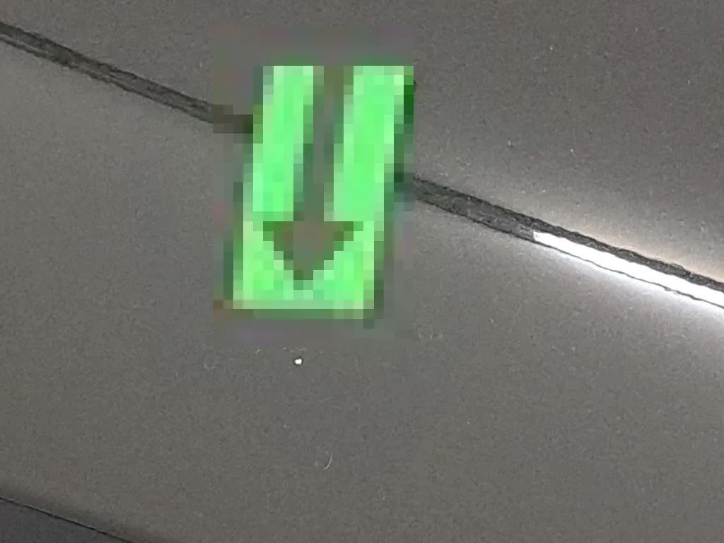 Vastgestelde schade