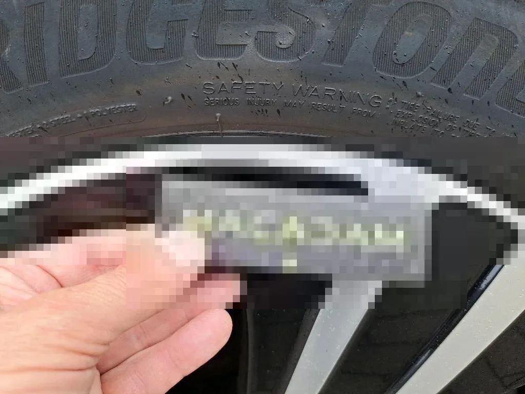 Vastgestelde schade
