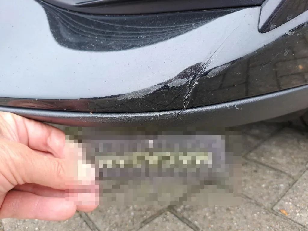 Vastgestelde schade