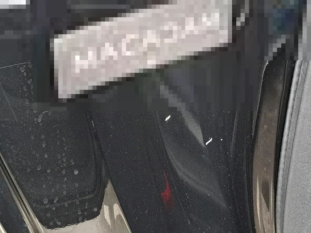 Vastgestelde schade